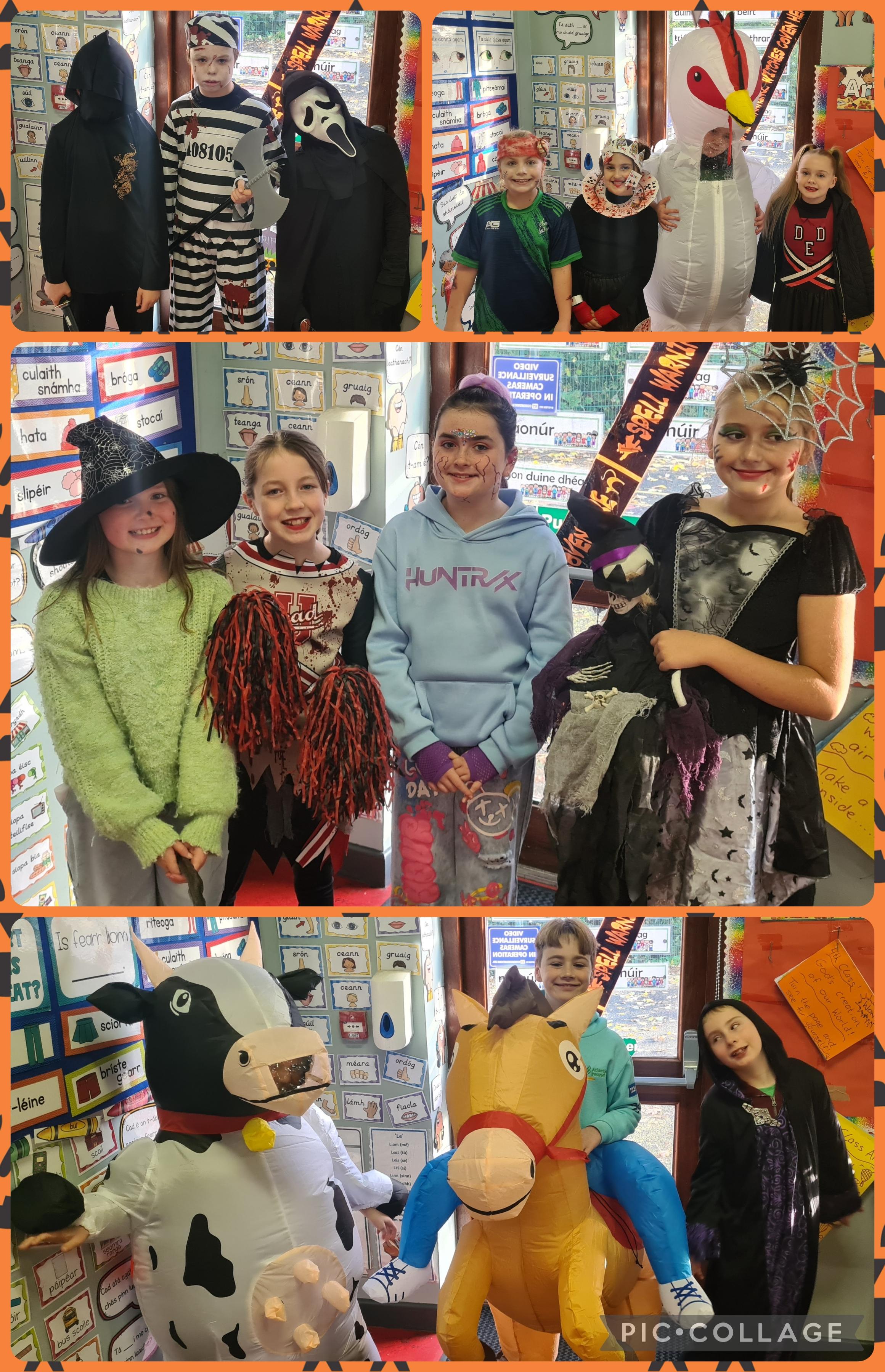 Collage_2025-10-23_10_10_50 (1).jpg