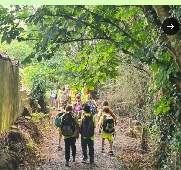 Screenshot_20230609_164329_Samsung Internet (1).jpg