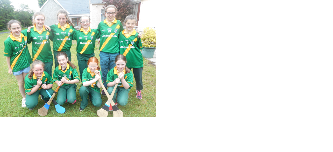 camogie team.png